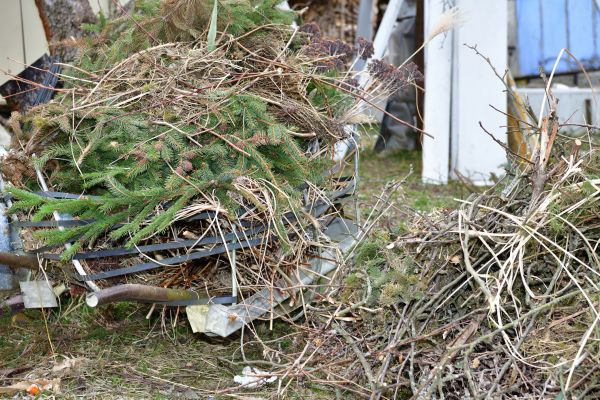 Yard Waste Removal Service in Vista
