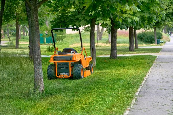 Landscaping Cleanup Service in Vista