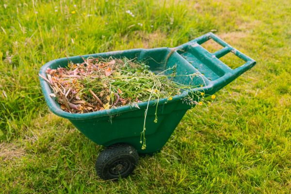 Garden Debris Removal