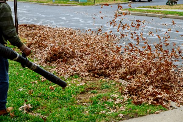 Cost of Garden Leaf Removal in Vista