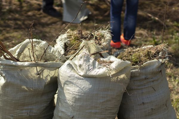 Brush Cleaning Service in Vista