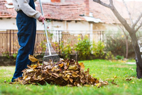 Spring Lawn Cleanup in Vista