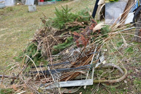 Spring Garden Cleanup