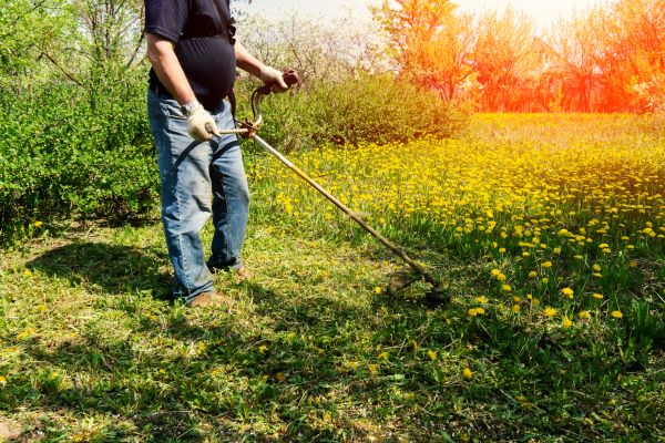 Yard Clearing Service in Vista