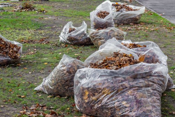 Cost of Leaf Pile Disposal in Vista