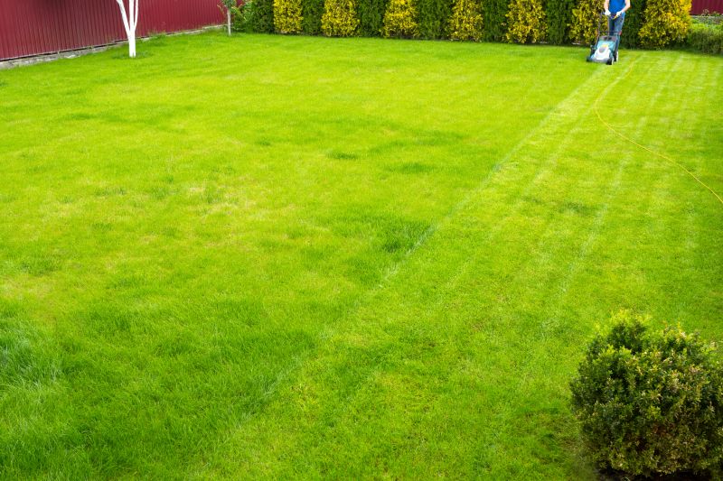 Full-Service Lawn Maintenance Companies